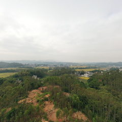 醉美岭南ⱽᴿ · 旺岭