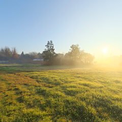 斯普赖特日出 Spruit Sunrise