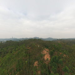 醉美岭南ⱽᴿ · 旺岭