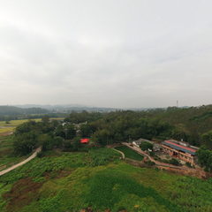 醉美岭南ⱽᴿ · 旺岭